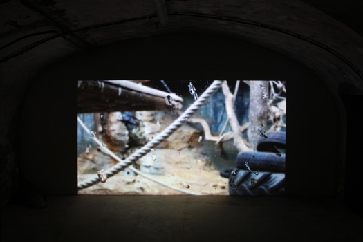 DELUGE (1933)
2016, projection vidéo HD, couleur,
muet, 11 min (en boucle).
Dans le cadre de l'exposition personnelle Slide Like An Egytian à l'Appartement / Galerie Interface, Dijon.