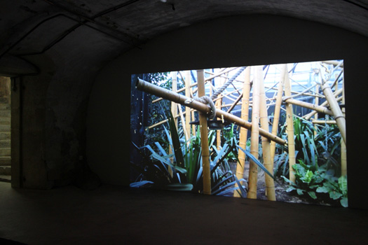DELUGE (1933)
2016, projection vidéo HD, couleur,
muet, 11 min (en boucle).
Dans le cadre de l'exposition personnelle Slide Like An Egytian à l'Appartement / Galerie Interface, Dijon.